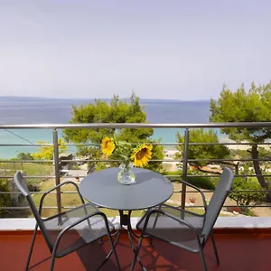 https://apollo-apartments-studios.hotelschalkidiki.net